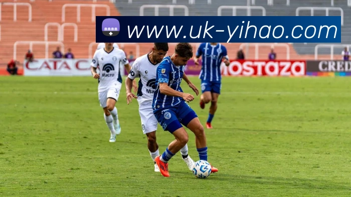 壹号娱乐平台生态图